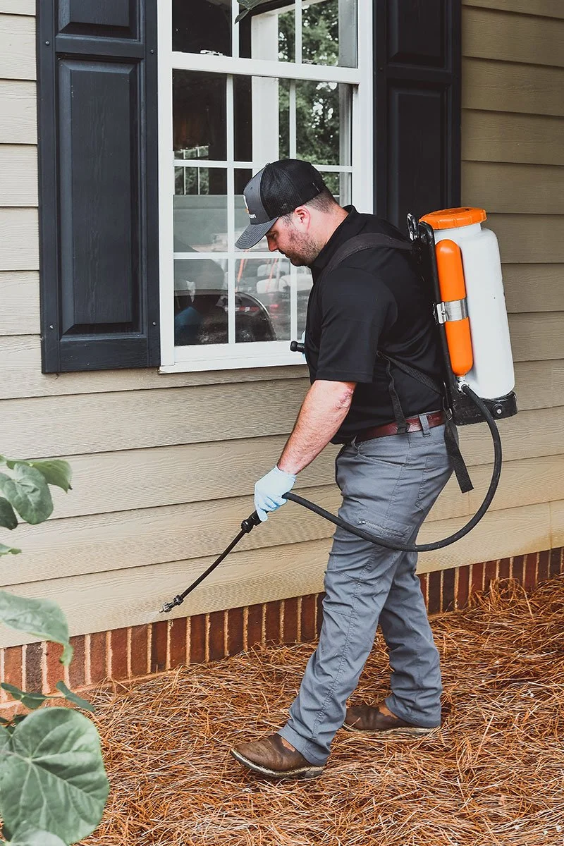 Residential pest control in Idaho home