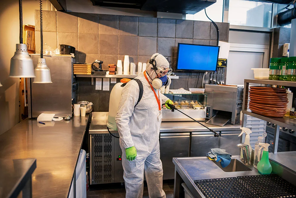 Commercial pest inspection in restaurant kitchen