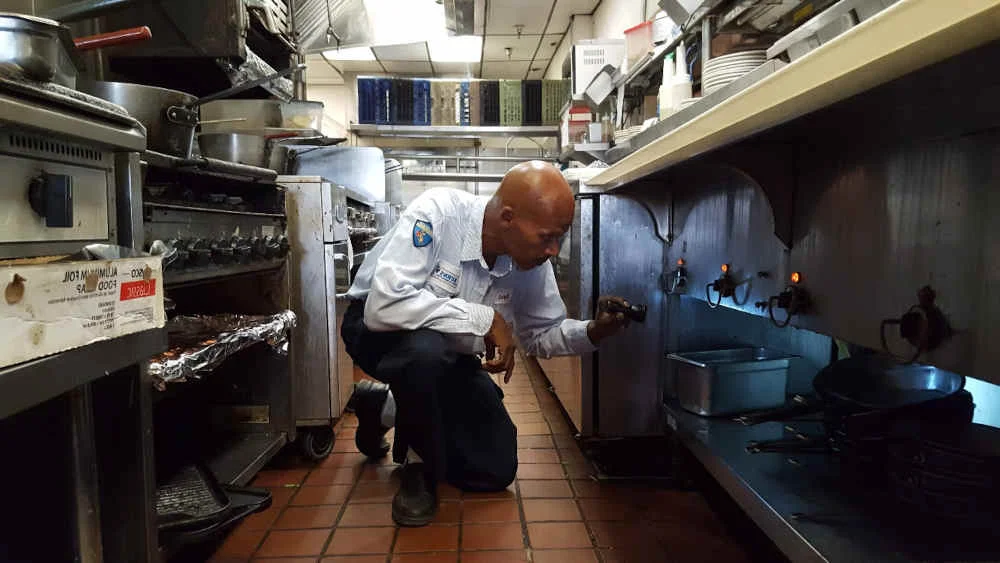 Professional conducting comprehensive stored product pest inspection