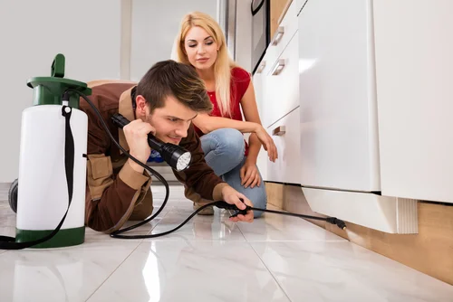 Emergency mouse control team responding to urgent call