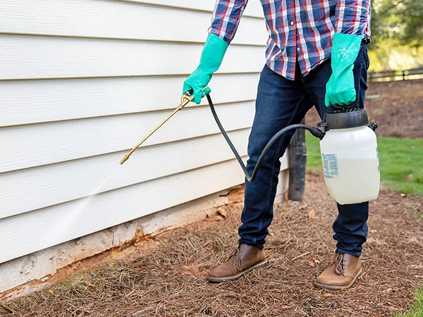 Professional sealing rat entry points around foundation