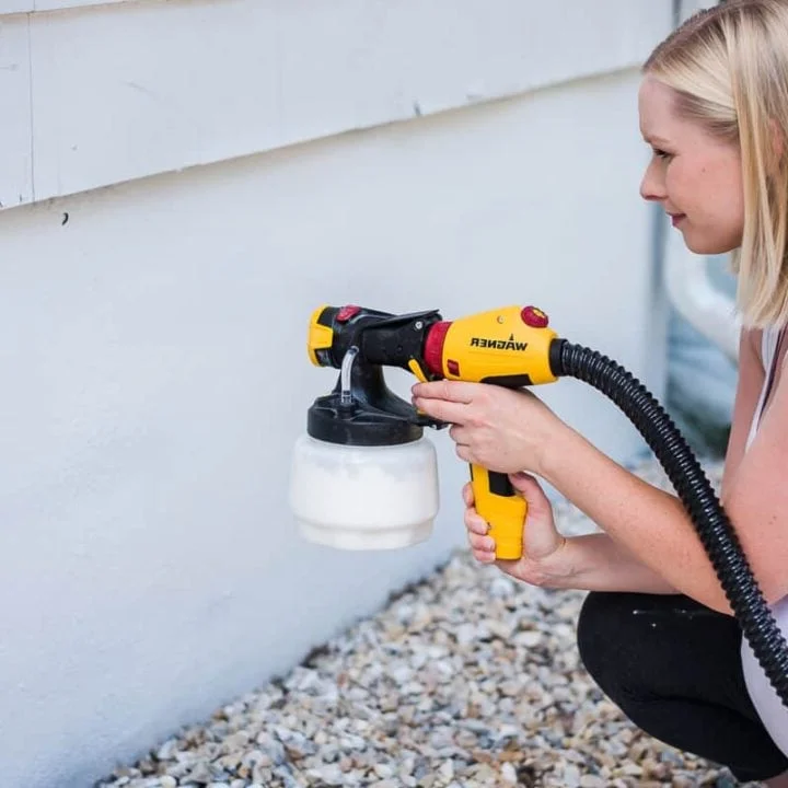 Professional sealing potential wasp entry points