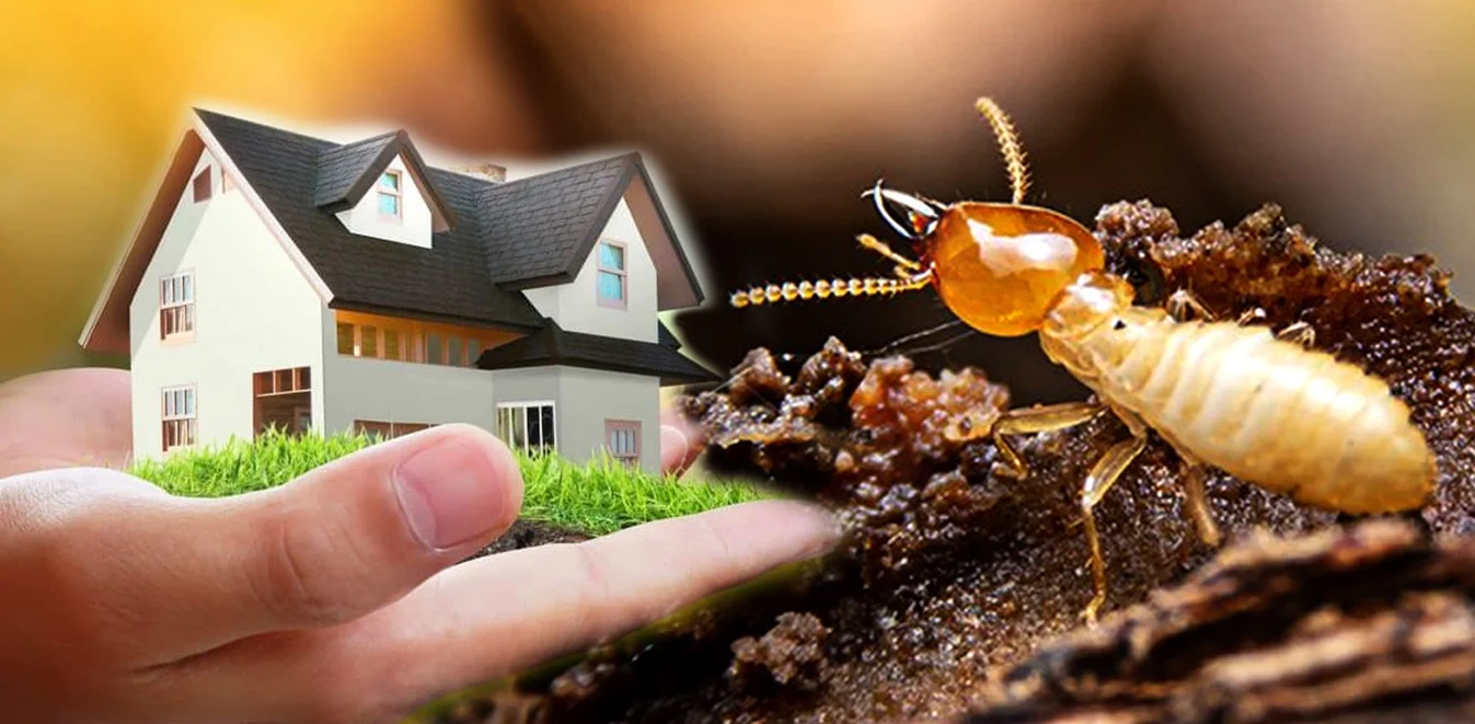Pre-construction termite treatment application