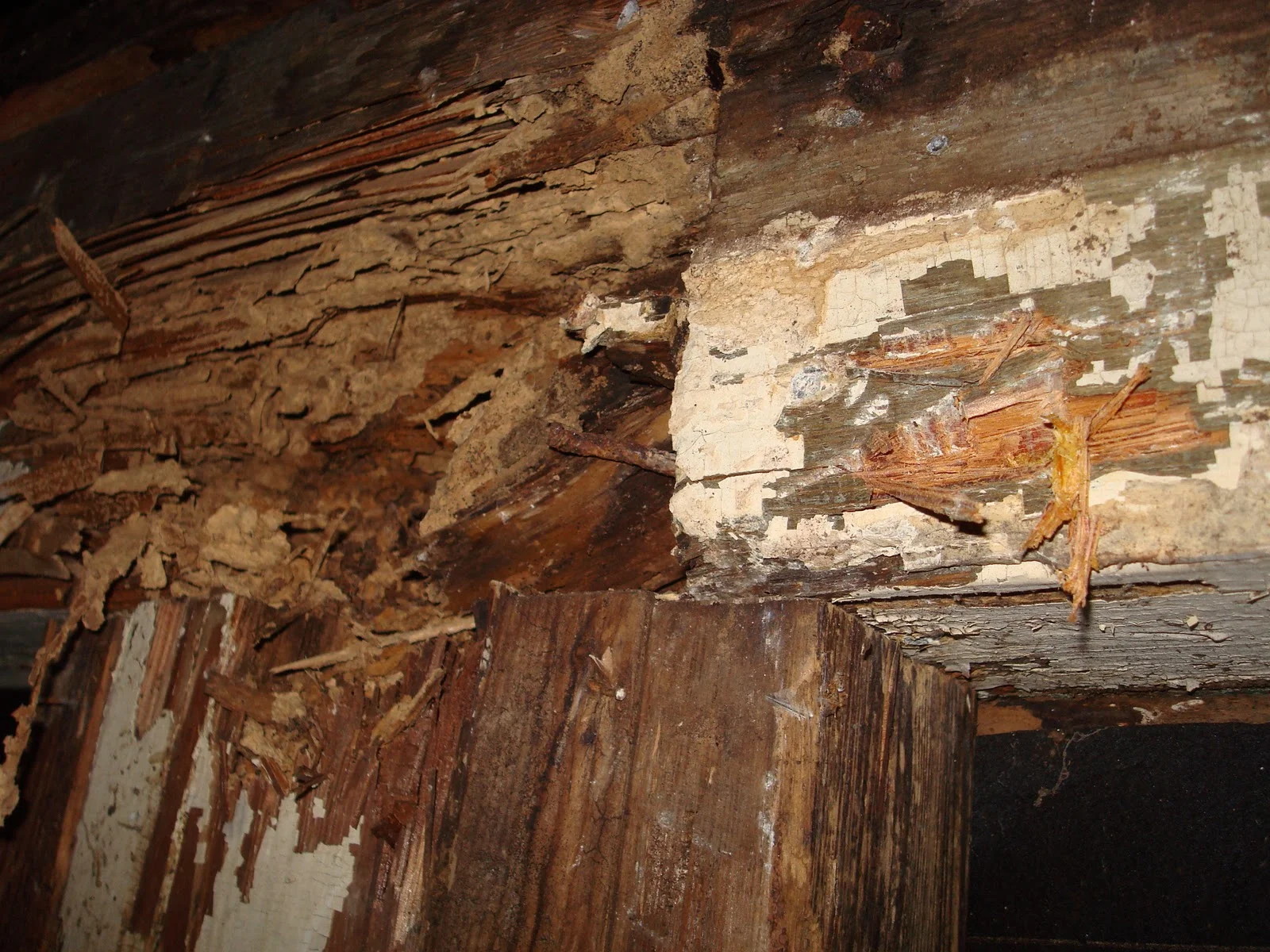 Severe termite damage in wooden structure