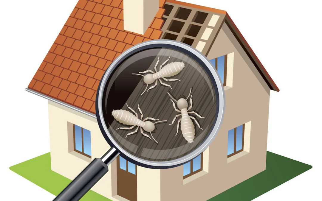 Termite inspector examining property foundation