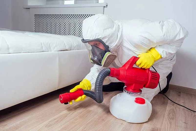 Professional technician in protective gear safely removing stinging insect nest